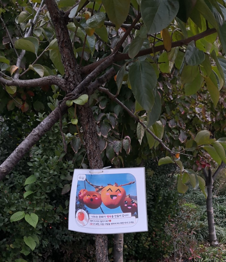 Free fruit