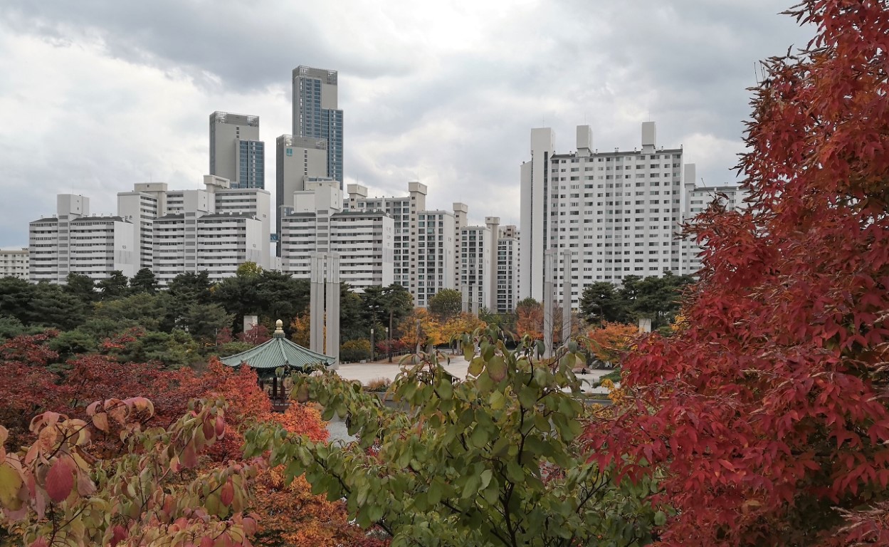Autumn view from National Museum of Korea