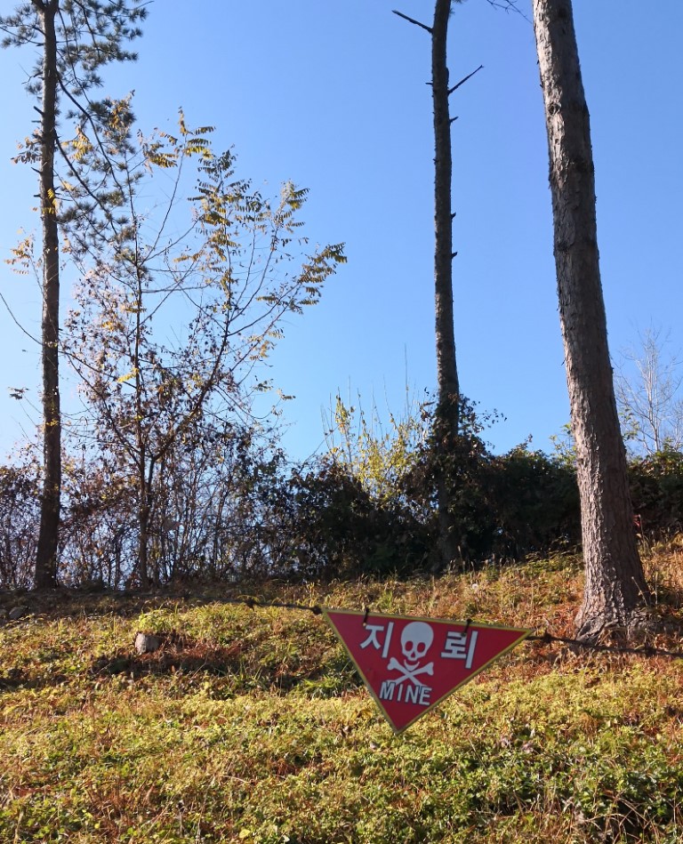 Mine sign DMZ